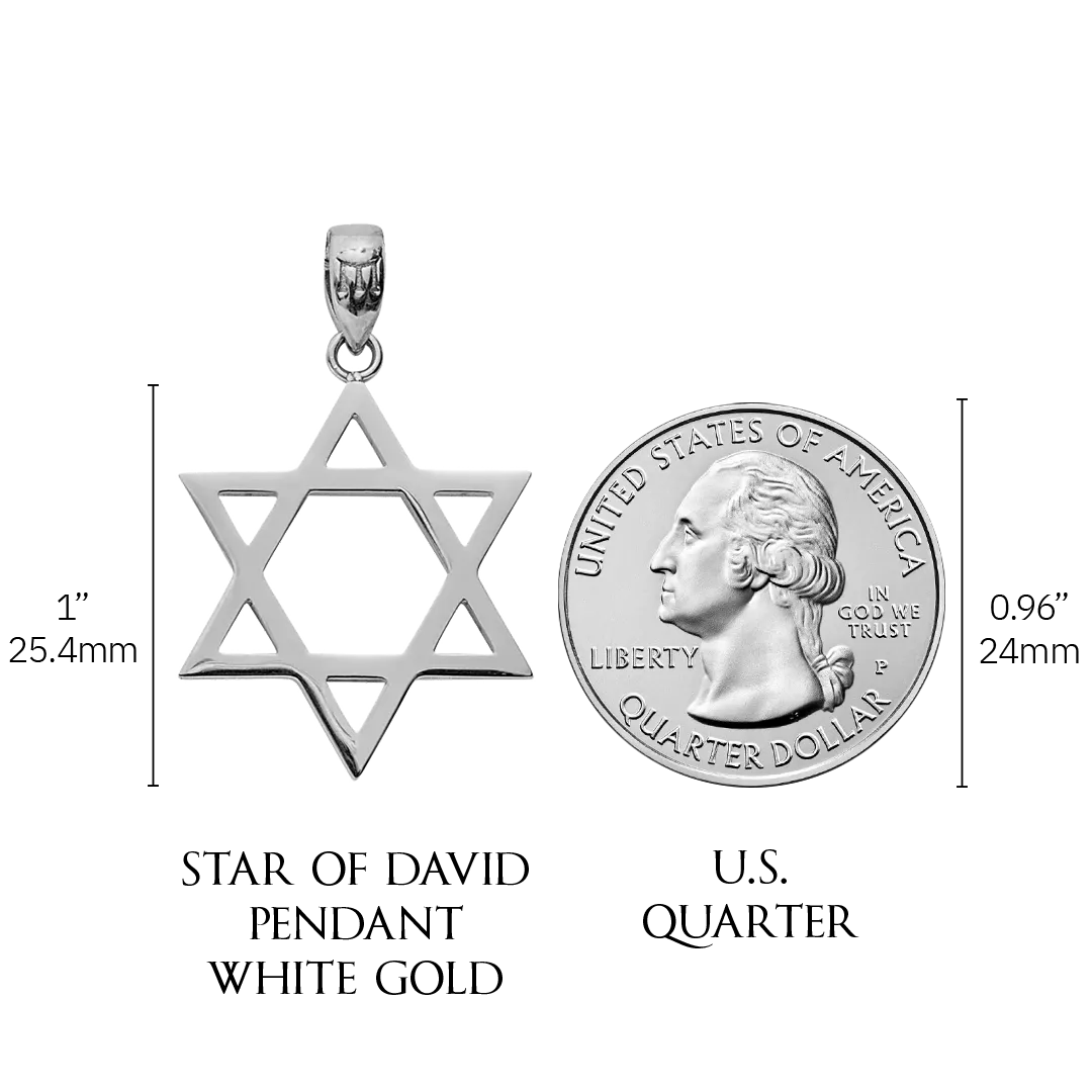 Star of David Pendant - White Gold